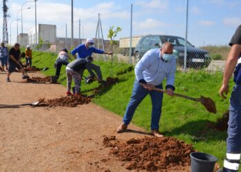 La plantación de 42 árboles completa el entorno natural de los huertos ecológicos