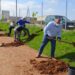 La plantación de 42 árboles completa el entorno natural de los huertos ecológicos