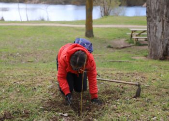 Diputación celebra el Día Mundial del Medio Ambiente con la plantación de 2.500 árboles en la provincia