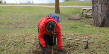 Diputación celebra el Día Mundial del Medio Ambiente con la plantación de 2.500 árboles en la provincia