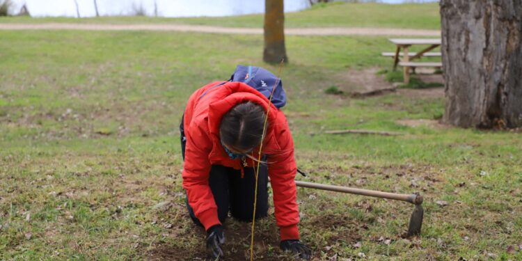 Diputación celebra el Día Mundial del Medio Ambiente con la plantación de 2.500 árboles en la provincia