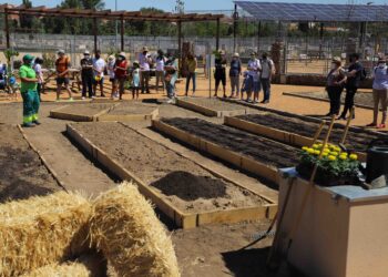 Voluntariado ambiental y talleres de agricultura ecológica, actividades de la ‘Semana Savia’