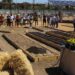 Voluntariado ambiental y talleres de agricultura ecológica, actividades de la ‘Semana Savia’