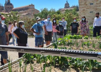 Medio millar de personas pasan por las actividades de la ‘Semana Savia’