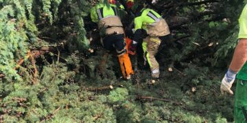 La tormenta provoca la caída de un árbol junto a la rontonda Base Aérea de Matacán