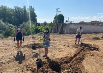 ‘Arbolar’ lleva medio centenar de árboles frutales a la ribera de Santa Marta