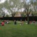 Concluye el programa municipal ‘Move ON’ de deporte al aire libre con las sesiones de yoga y aquagym