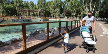 Un cisne hembra se suma a la fauna de La Alamedilla