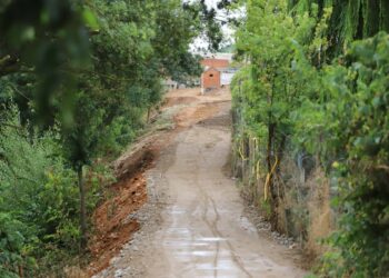 Los caminos definen ya el recorrido del nuevo paseo fluvial