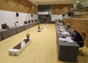 El voluntariado será regulado con la aprobación de un reglamento