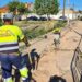 El Ayuntamiento renueva 100 metros de tubería en Juan Manso para evitar averías