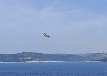 Una avería deja sin luz a varios municipios de la provincia de Salamanca