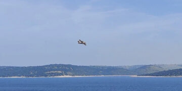 Una avería deja sin luz a varios municipios de la provincia de Salamanca