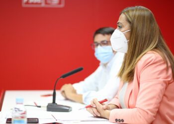 Virgina Barcones denuncia la falta de profesionales sanitarios y rastreadores en Castilla y León