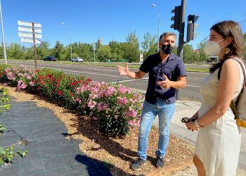 Continúan los trabajos para mejorar la imagen de la Vía Helmántica