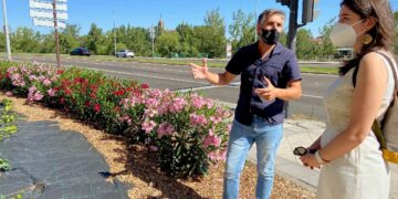 Continúan los trabajos para mejorar la imagen de la Vía Helmántica