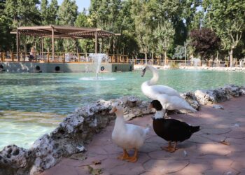 Salamanca realizará las labores de limpieza y mantenimiento del estanque de La Alamedilla