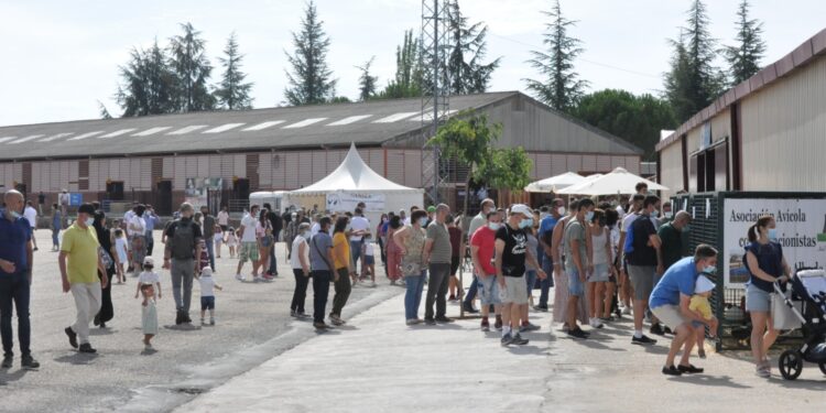 Salamaq 21 avanza con calor y expectación en el «día de la provincia»