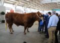 Visita y recorrido por las instalaciones de Salamaq 21