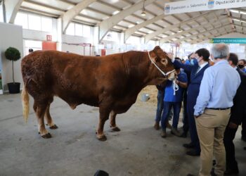 Visita y recorrido por las instalaciones de Salamaq 21