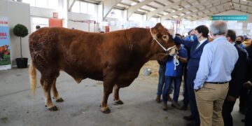 Visita y recorrido por las instalaciones de Salamaq 21