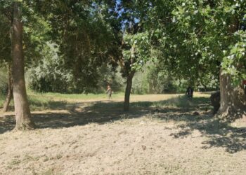 La inserción laboral, objetivo de la contratación del Ayuntamiento de Santa Marta