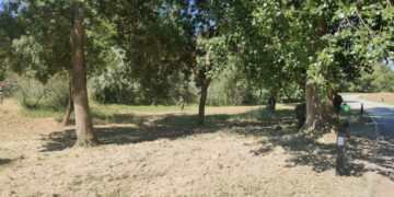 La inserción laboral, objetivo de la contratación del Ayuntamiento de Santa Marta