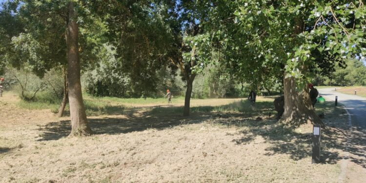 La inserción laboral, objetivo de la contratación del Ayuntamiento de Santa Marta