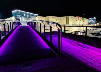 Apoyo, compromiso e investigación contra el Cáncer de Mama