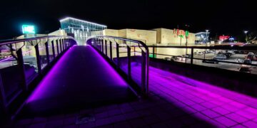 Apoyo, compromiso e investigación contra el Cáncer de Mama