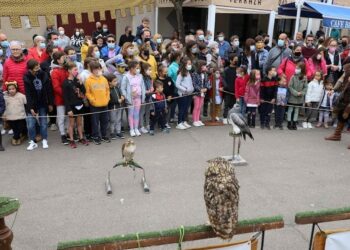 Animación y buena respuesta del público en el estreno del Mercado Medieval