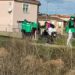 La Vía Verde queda saneada de maderas, plásticos, cartones y tubos en el 1,5 km. en la limpieza realizada por los voluntarios de ‘CiberCarba’ y #ecólatras
