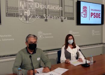 Inversiones para las zonas rurales y apoyo a la agricultura ecológica y al vacuno de carne centran las reivindicaciones de PSOE y Cs a la Diputación