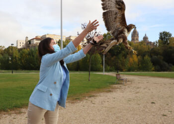 Formación y concienciación ambiental para proteger la fauna de la ciudad