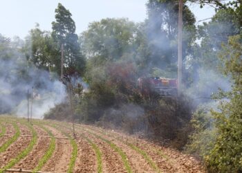 La Diputación se integra en el operativo para la Lucha contra los Incendios Forestales de la Junta de Castilla