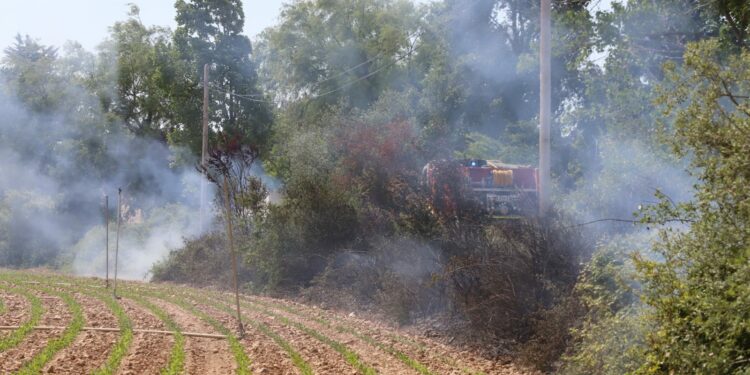La Diputación se integra en el operativo para la Lucha contra los Incendios Forestales de la Junta de Castilla