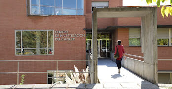 Científicos del Centro de Investigación del Cáncer de la USAL colaboran en la identificación de 51 alteraciones genéticas en el gen VAV1 relevantes en linfomas