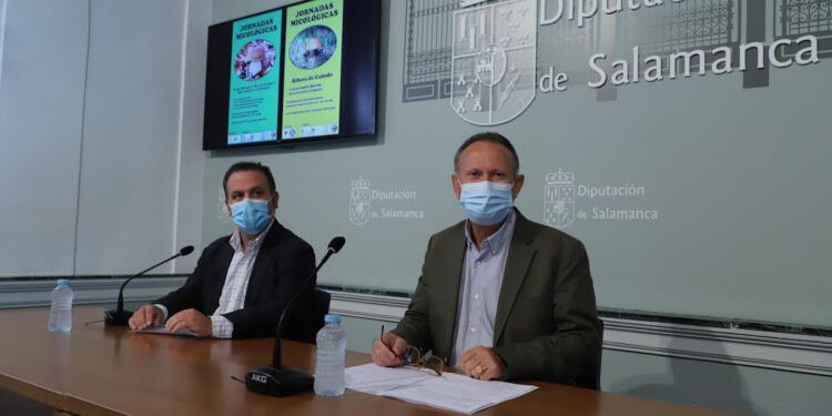 Las seis jornadas micológicas de la Diputación comenzarán el día 16 en el nuevo Parque Micológico y la Ribera del Cañedo