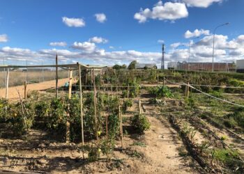 El pleno aprueba el reglamento regulador de los Huertos Ecológicos Urbanos para dejarlos adjudicados antes de final de año