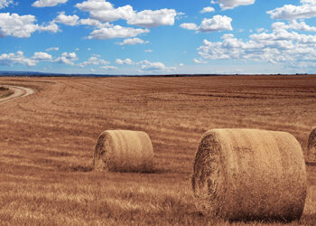 La USAL mostrará las iniciativas del Centro Transfronterizo de Investigación y Transferencia del Sector Agropecuario (CTIT)