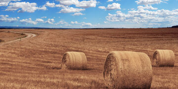La USAL mostrará las iniciativas del Centro Transfronterizo de Investigación y Transferencia del Sector Agropecuario (CTIT)