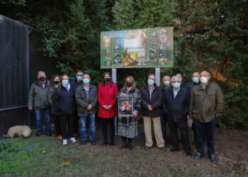 El Parque de los Jesuitas, espacio micológico de la ciudad