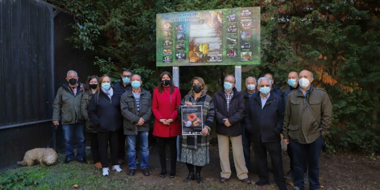 El Parque de los Jesuitas, espacio micológico de la ciudad