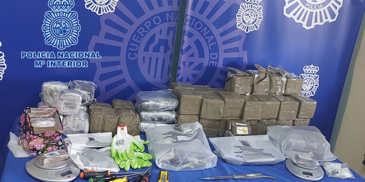 Un video en la red social ‘TikTok’ propicia la detención de tres personas por presunta falsificación