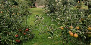 Frutas y verduras, protagonistas de la Semana Verde de la Universidad