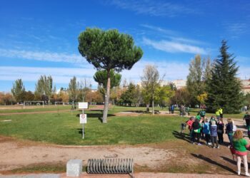 La marcha solidaria cerrará las actividades del ‘Día Mundial de la Diabetes’