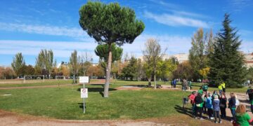 La marcha solidaria cerrará las actividades del ‘Día Mundial de la Diabetes’