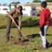 Taller para la plantación de frutales en el Parque de los Jerónimos