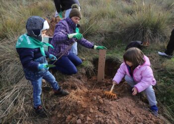 Éxito de participación y buen ambiente en la primera jornada de plantación del futuro bosque municipal