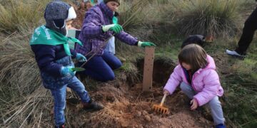 Éxito de participación y buen ambiente en la primera jornada de plantación del futuro bosque municipal